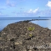 resort_pacific_palau_h_0135_pal1203.jpg